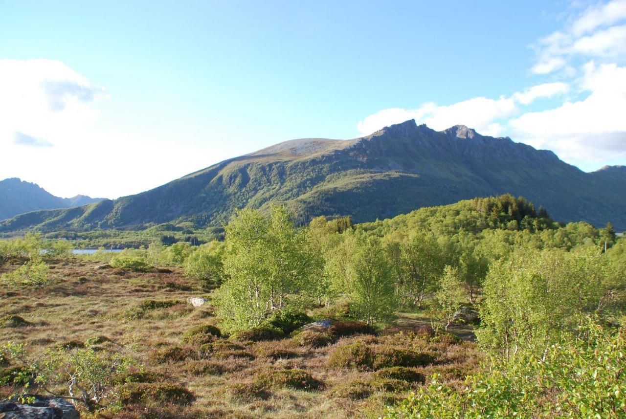Haugteig Villa Lyngværet Eksteriør billede