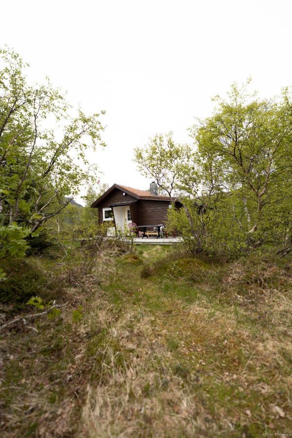 Haugteig Villa Lyngværet Eksteriør billede
