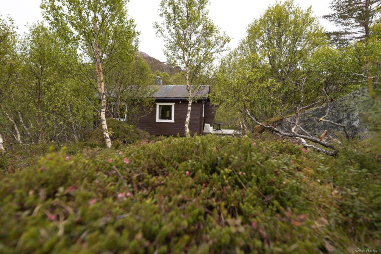Haugteig Villa Lyngværet Eksteriør billede