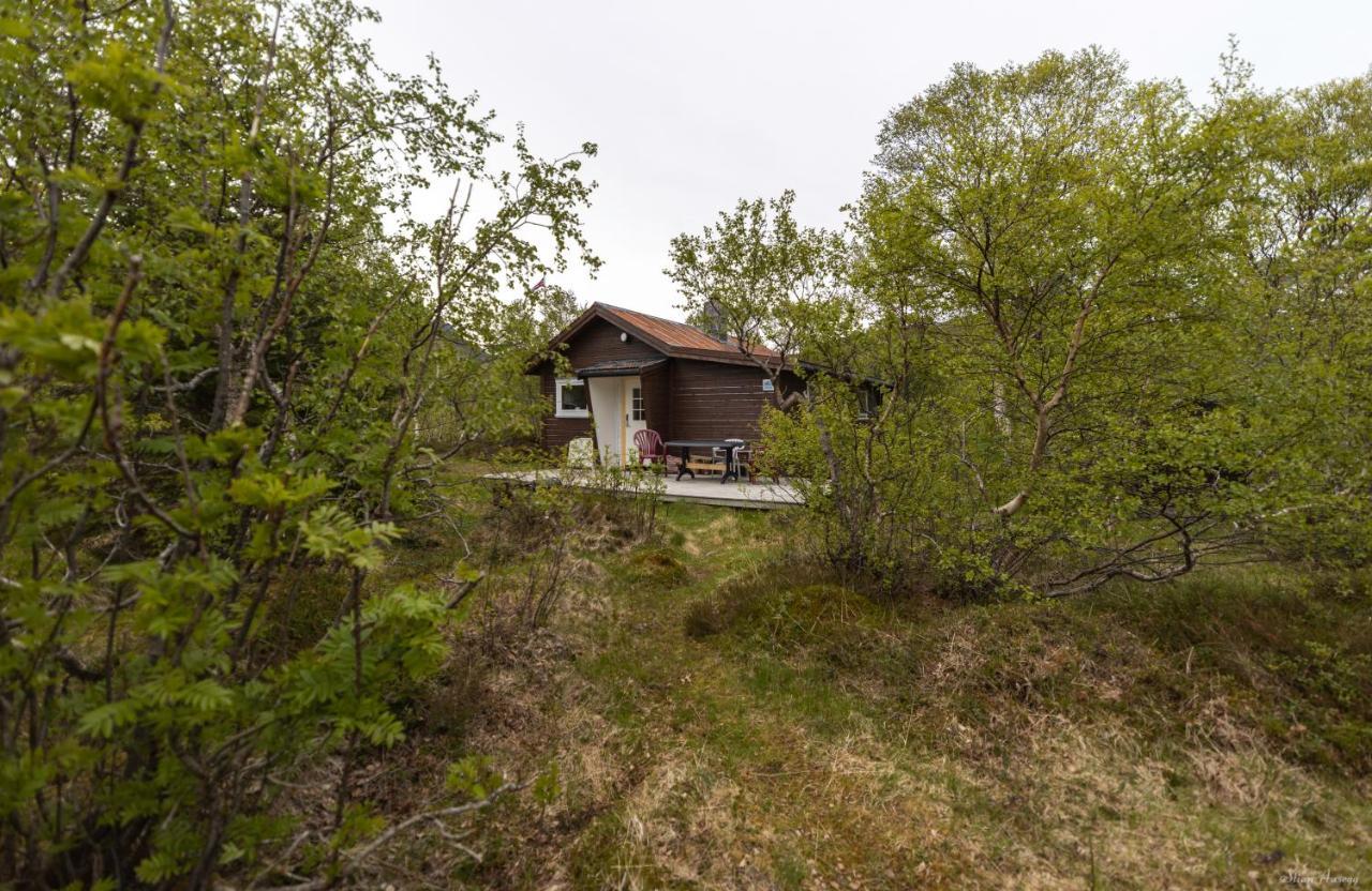 Haugteig Villa Lyngværet Eksteriør billede